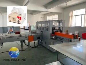 China Facial Tissue Packing Machine