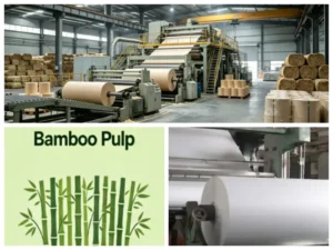 10TPD bamboo pulp tissue paper machine factory